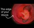 Assistir ao v�deo