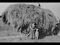 Farming and Agriculture of the Gilded Age