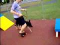 My 4-H Dog Agility Class Training 2007