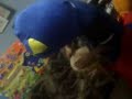 Pablo Zizu (The Backyardigans)