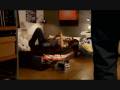 videos de Agria Paidia 6 Part2