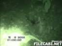 supuesto alien encontrado en bosques de espa�a 2