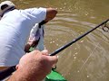 video montage tarpon1.wmv