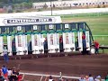 Camel Race