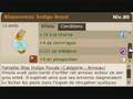 Peace Angel (Xelor Eau/Sagesse)