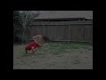 Click here to watch this video Cart Triple Full on Grass *Kite Tricking*