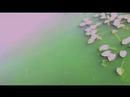 ... r�verie sur un pont, quelque part entre kyoto, shangai, venise ou paris...
musique de seigen ono