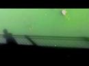 ... r�verie sur un pont, quelque part entre kyoto, shangai, venise ou paris...
musique de seigen ono