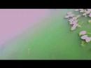 ... r�verie sur un pont, quelque part entre kyoto, shangai, venise ou paris...
musique de seigen ono