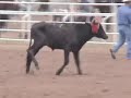 Coca-Cola Sponsors Cruel Rodeos, Violates Own Humane Policy