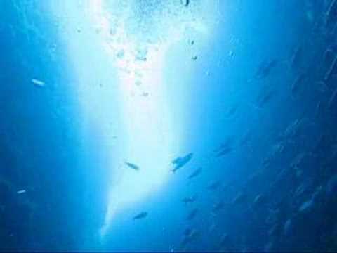 kaş