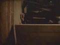 The Charlatans - Forever