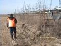 Nebraska Pheasant Hunting at Two Forks Recreation