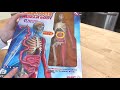 HUMAN BODY UNIT STUDY || HOMESCHOOL UNIT STUDY || FIRST GRADE HUMAN BODY STUDY