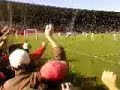 celik-zeljo robijasi