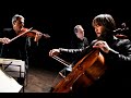 Ravel - Trio en la mineur Final