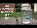 Видео Электронные игрушки Электронная бабочка в банке (Butterfly in a jar) 2.0