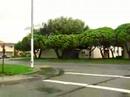 Storm Treasue Island 2