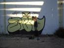 zno
