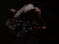 videos de Fortune Teller