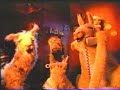 La llama que llama 11 - Es Balthasar!