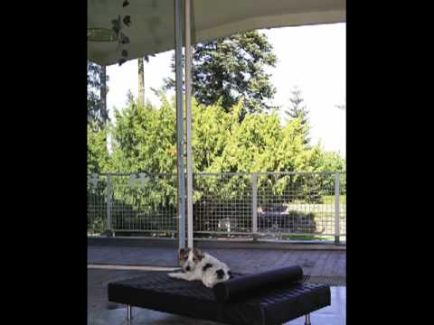 Luxus Hundebetten & Hundesofas für den edlen Hund