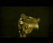 Boro D'Afrique - Ras Ly