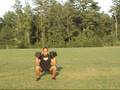 Fat Loss Exercise - DB Squat Press