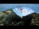 Ultimate Extra - DreamScene Movie 3