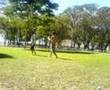 Tretas no Parque do Carmo 3