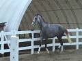 videos de Winnie - playing in the arena