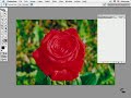 VTC Photoshop Tutorial - Masking Techniques Part 2