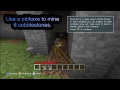 Minecraft video