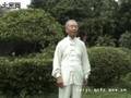 老六路推手(李和生)