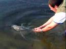 remise a l'eau d'une carpe a pescalis Manele-Gratis.net