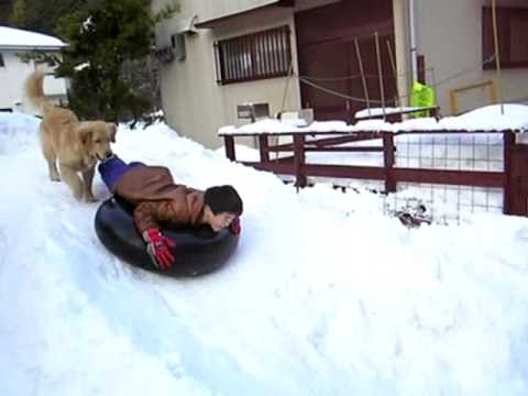 2006' 空とモコの雪遊び 2006/01/29