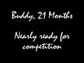 Buddy 21 Months Training