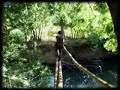 el pueblo mapuche y la invasión forestal  parte 4  de 4 