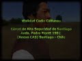 El Pueblo Mapuche y la Invasi�n Forestal. Parte 4 (de 4)