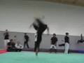 Anis Cheurfa