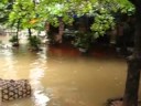 Hanoi flood - Tran Quang Dieu