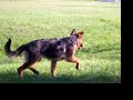 Madison playing field almost five months old
