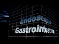 Endoscopia Gastrointestinal