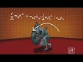 Human Weapon - MMA - Double Leg Takedown Human Weapon - MMA - Double Leg Takedown