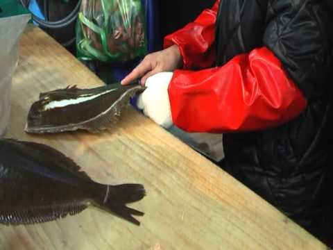 how to bleed flounder