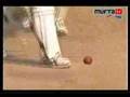 Cricket PASSION