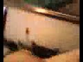 Dj Pras (en vivo)