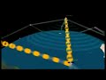 Iridium Satellite Network