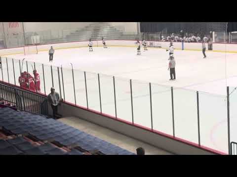 Empty net for the hatty