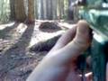 la foret maudite